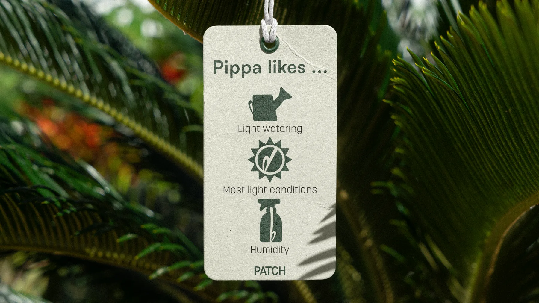 Wide crop of the Patch care tag with plain-English instructions