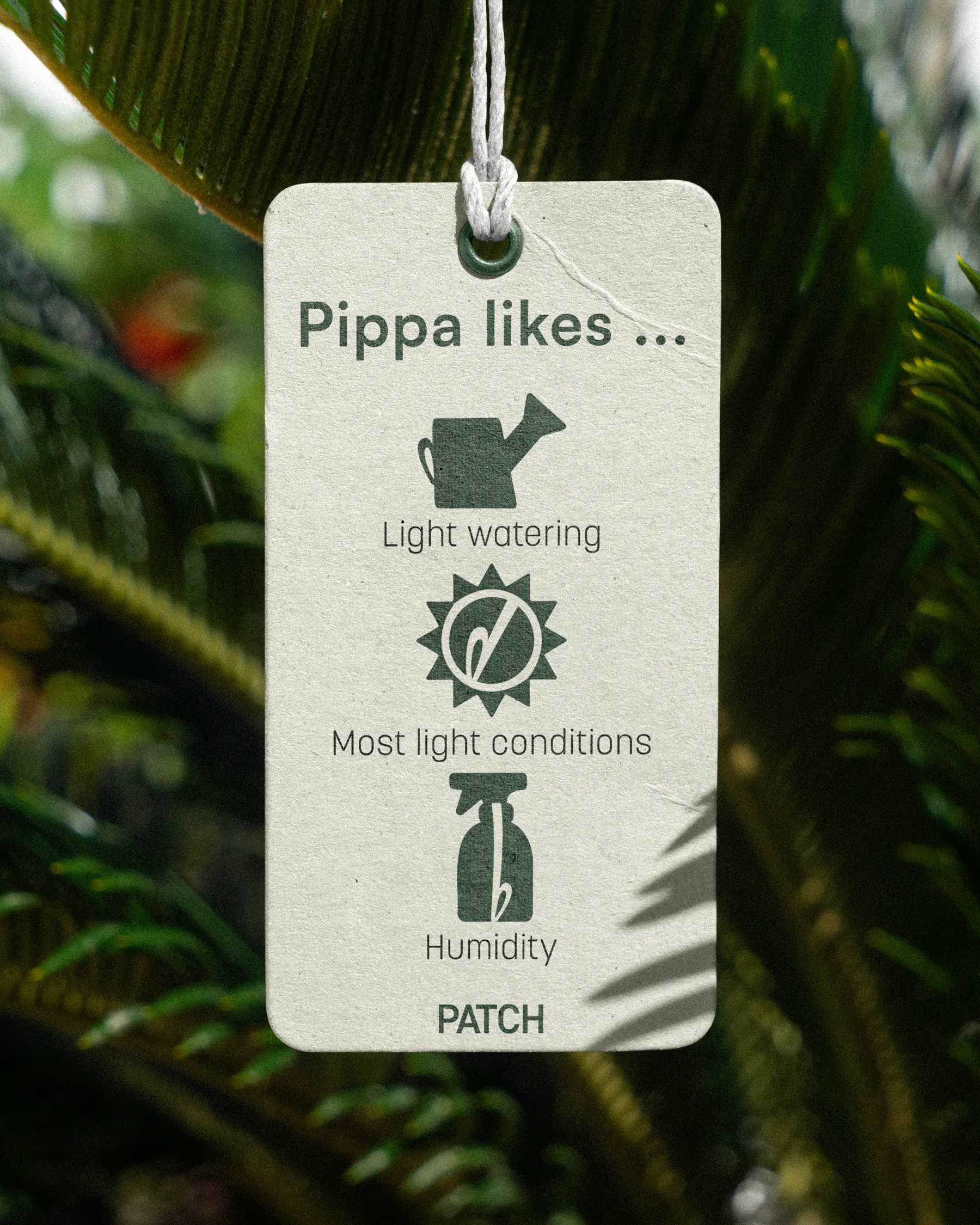 Care tag reading Pippa likes, with watering, light and humidity icons