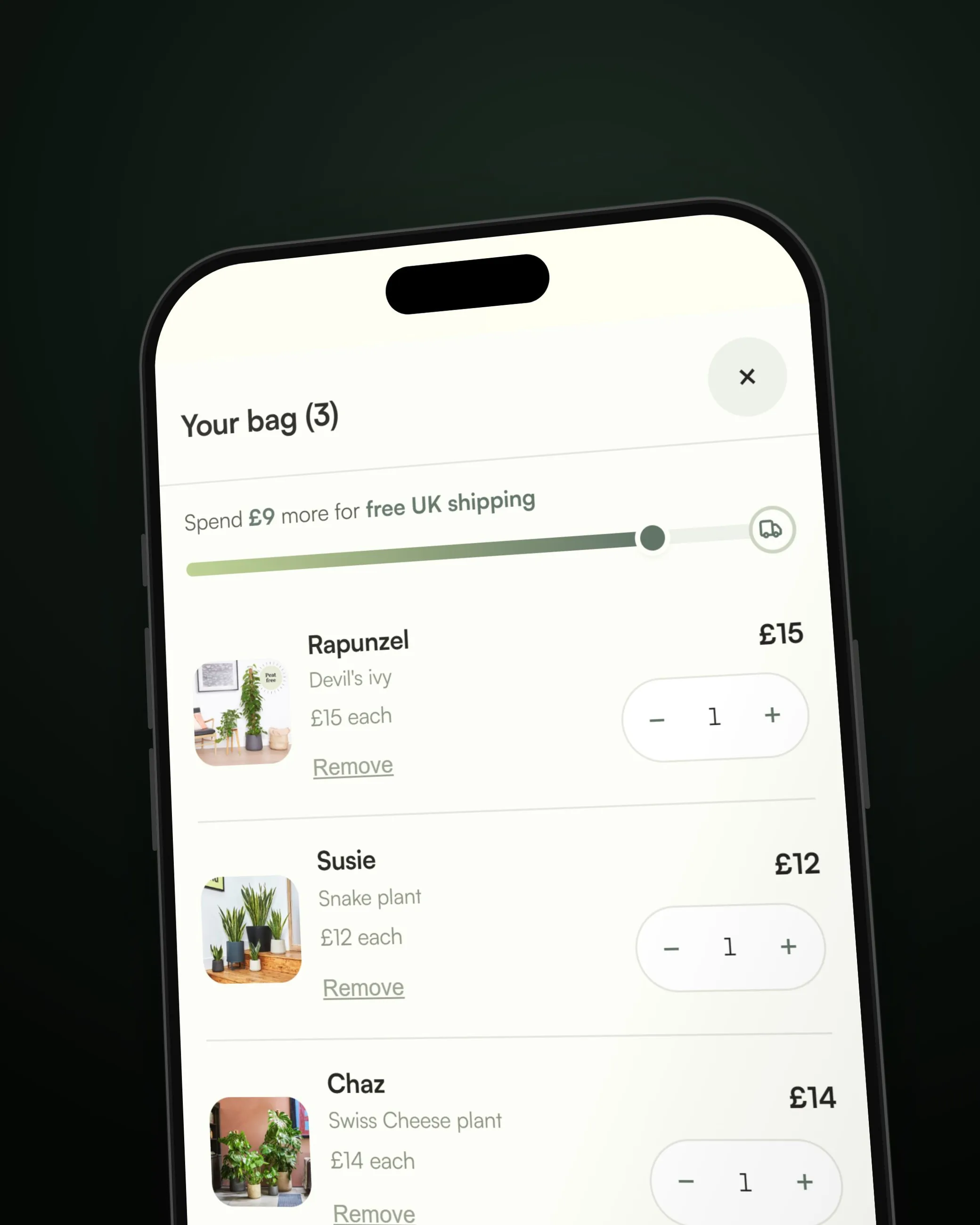 Close-up of a phone showing the Patch bag with the free-shipping meter