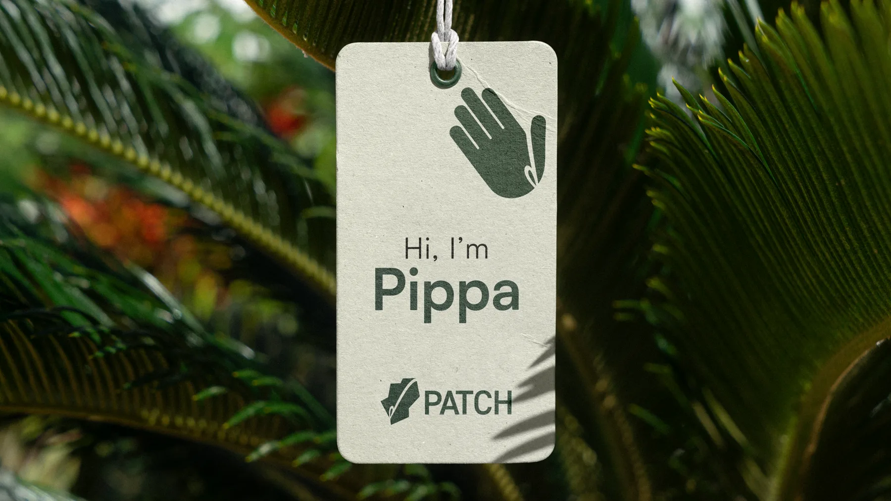 Swing tag on a plant reading Hi, I am Pippa, with the Patch wordmark