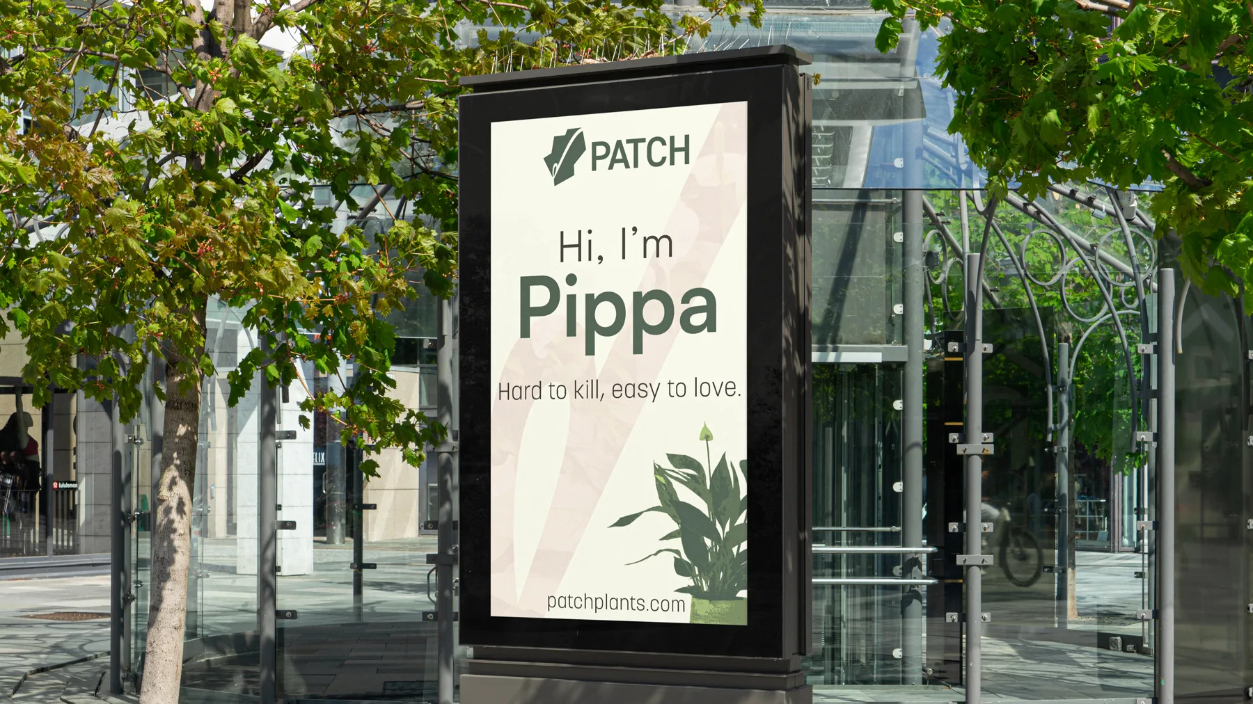 High street lightbox advert reading Hi, I am Pippa. Hard to kill, easy to love