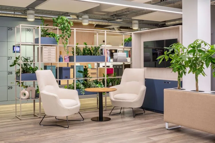 The Bisley showroom: pale armchairs beside open shelving planted with trailing greenery