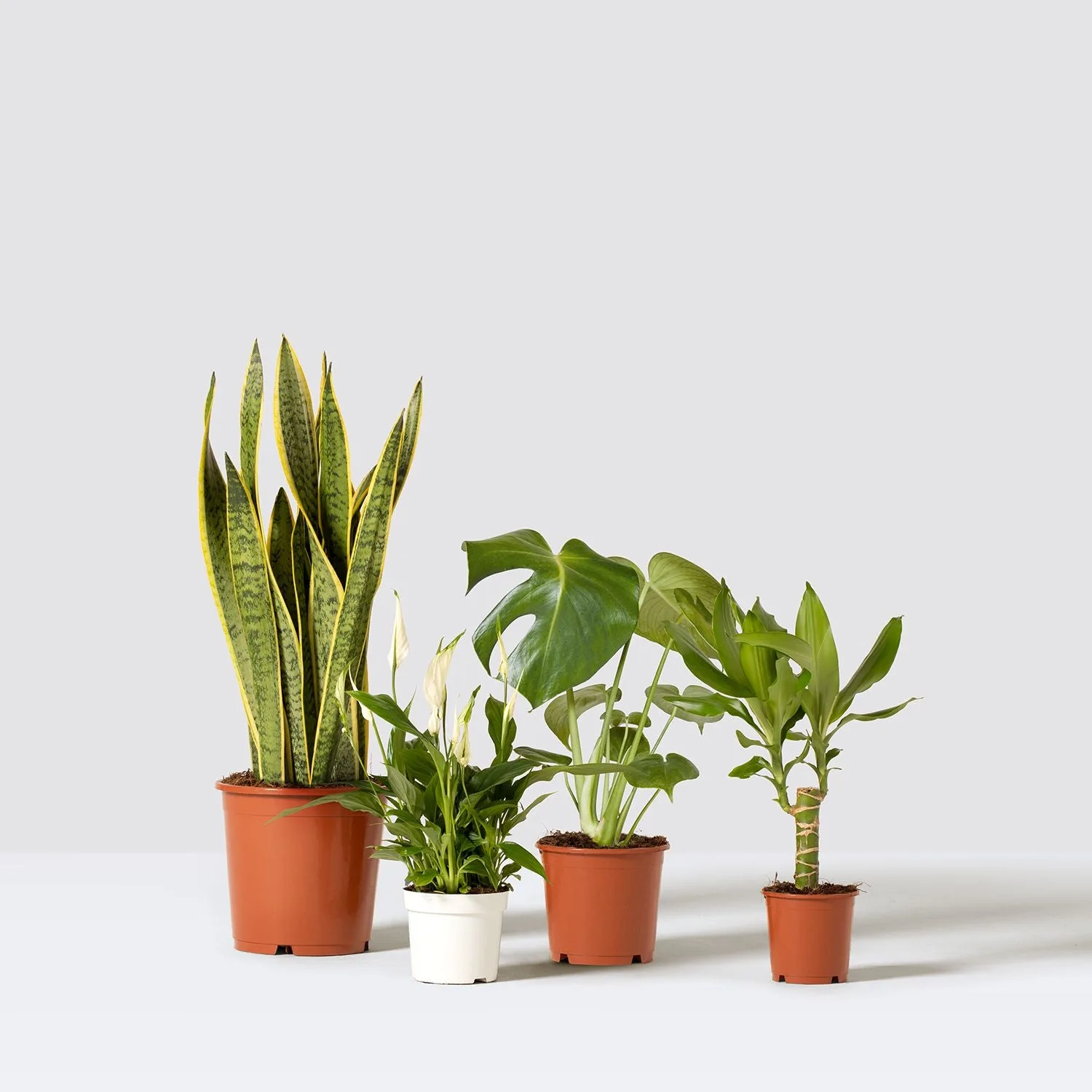 The Easy care set