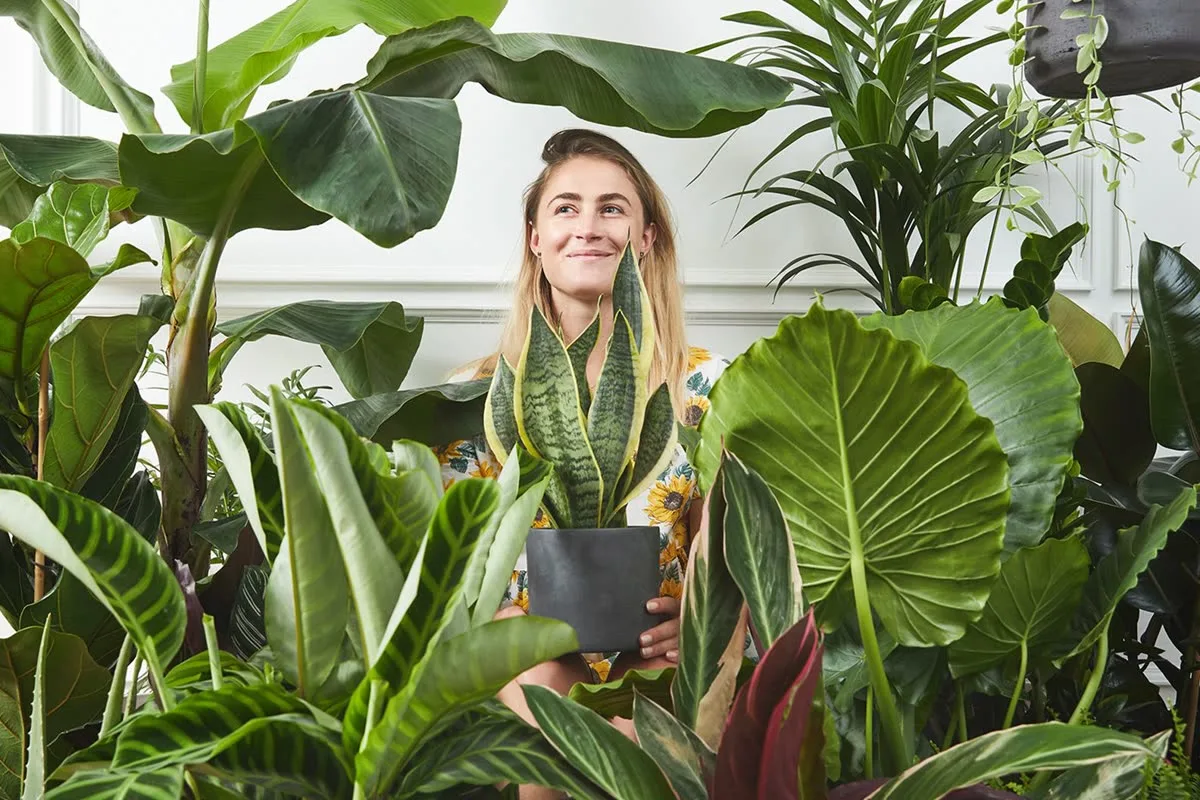 A Patch customer surrounded by plants in a living room