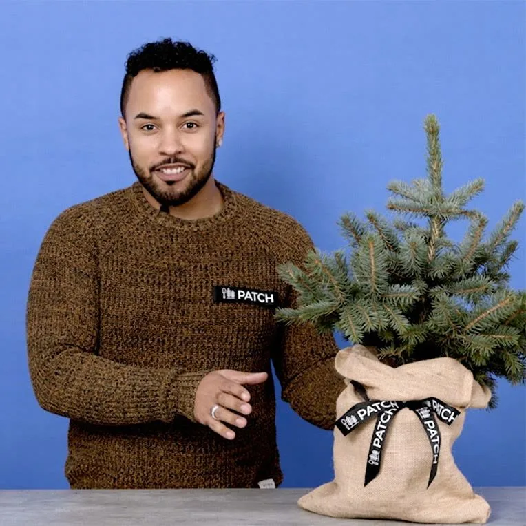 A Patch plant doctor talking about a blue spruce Christmas tree