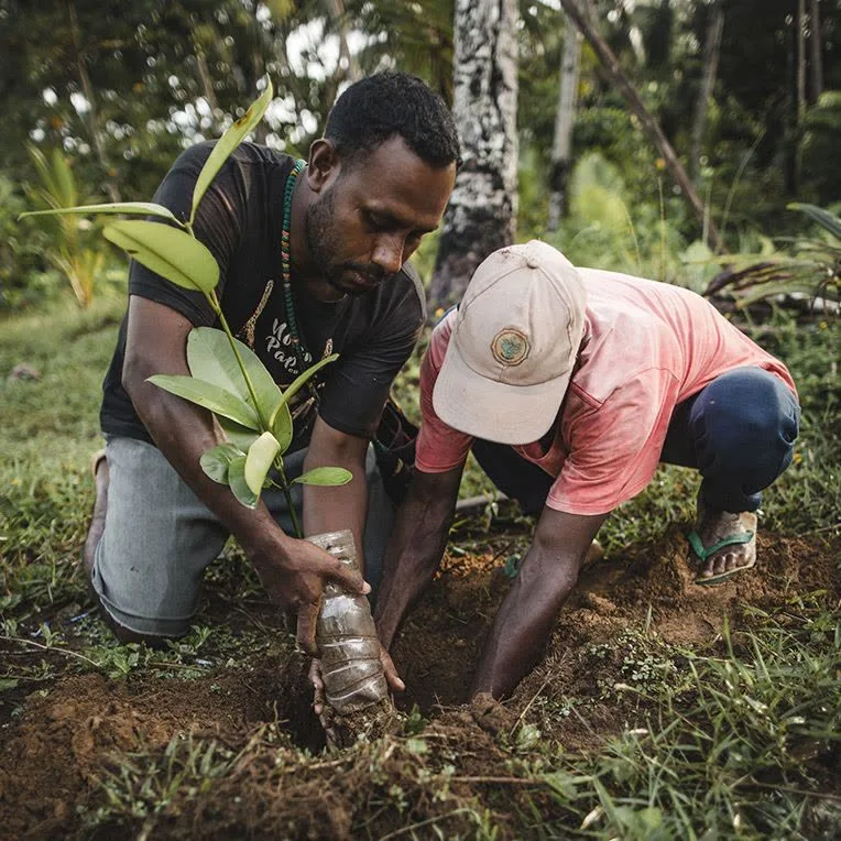 Two people planting a tree in Indonesia