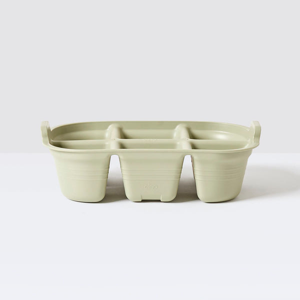 Seed tray