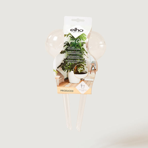 Glass water dispensers for plants