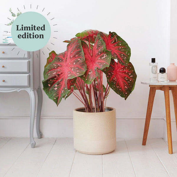 Ruby